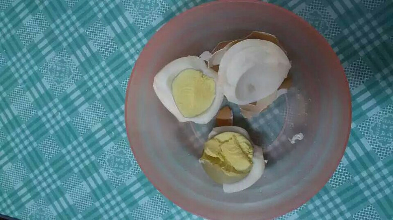 ���ڳ��ϵ�������