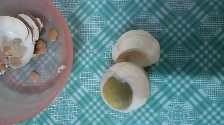 ���ڳ��ϵ�������