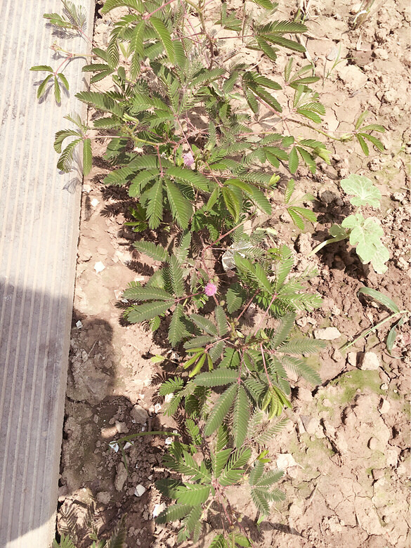 ��һ�ο��� ���߲� ����