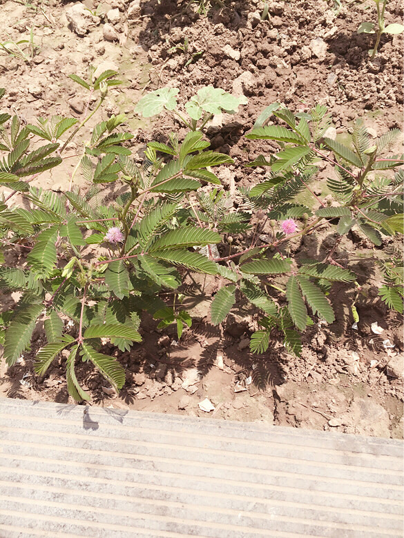 ��һ�ο��� ���߲� ����