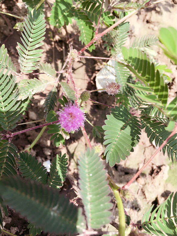 ��һ�ο��� ���߲� ����