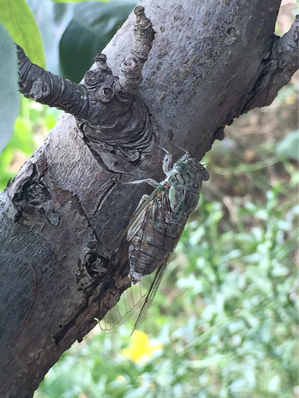 ֪��֪�ˣ�˶�����ۣ�