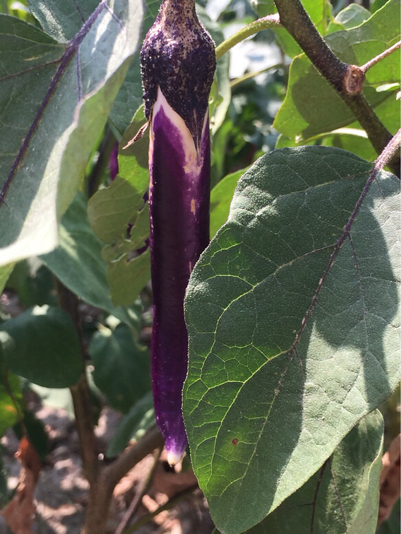 ֪��֪�ˣ�˶�����ۣ�