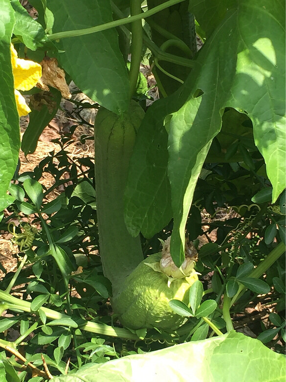 ֪��֪�ˣ�˶�����ۣ�