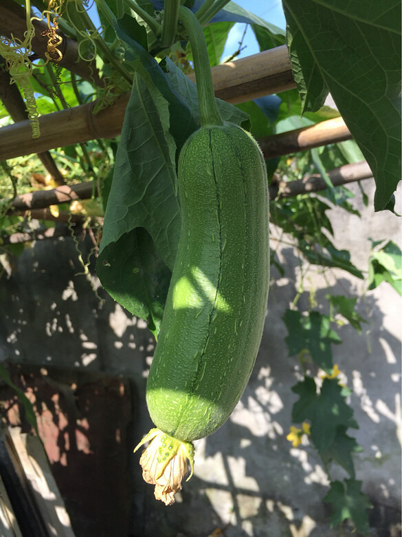 ֪��֪�ˣ�˶�����ۣ�