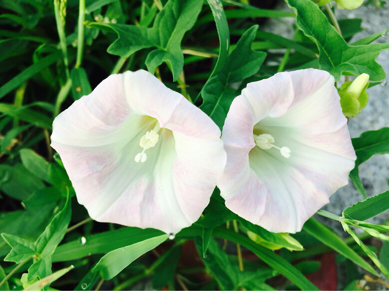 ��ҵ����������֮��Ŷ��