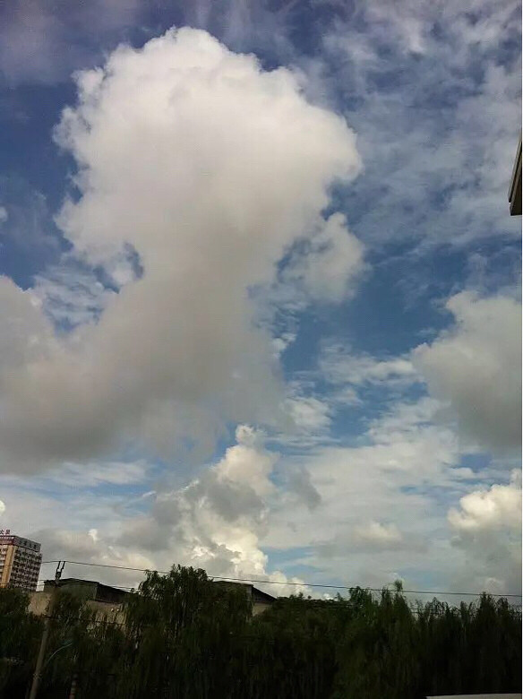 ����Ⱥ����ɹ�������