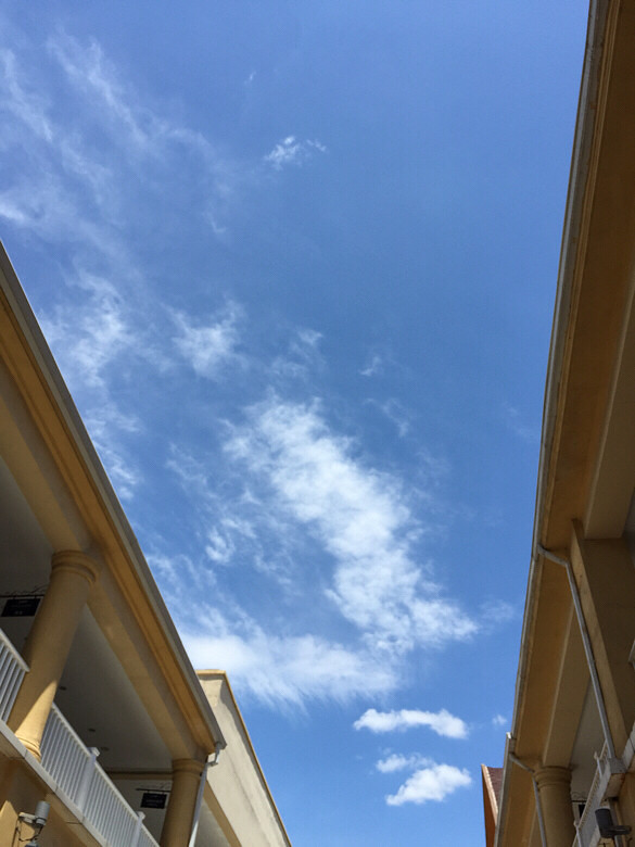 ��û�к���