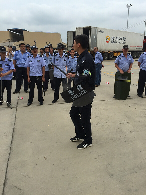 ������ѵ