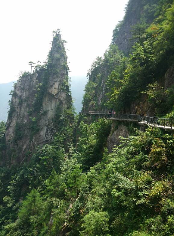 �������ǲ�����  �ٲ���������