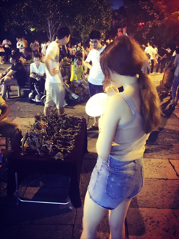 �²��������e