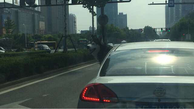 ����Ĺ�ʿ��