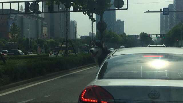 ����Ĺ�ʿ��