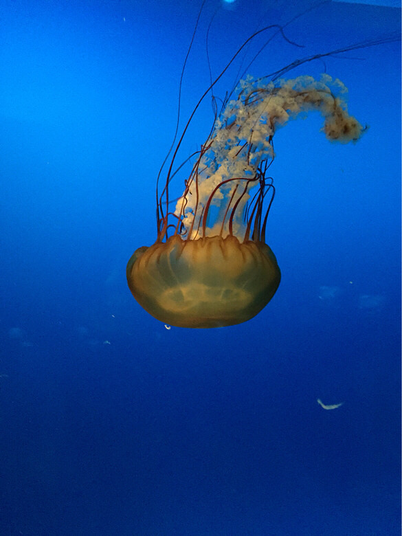 ����һ��