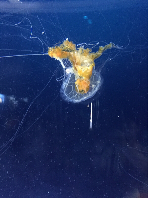 ����һ��