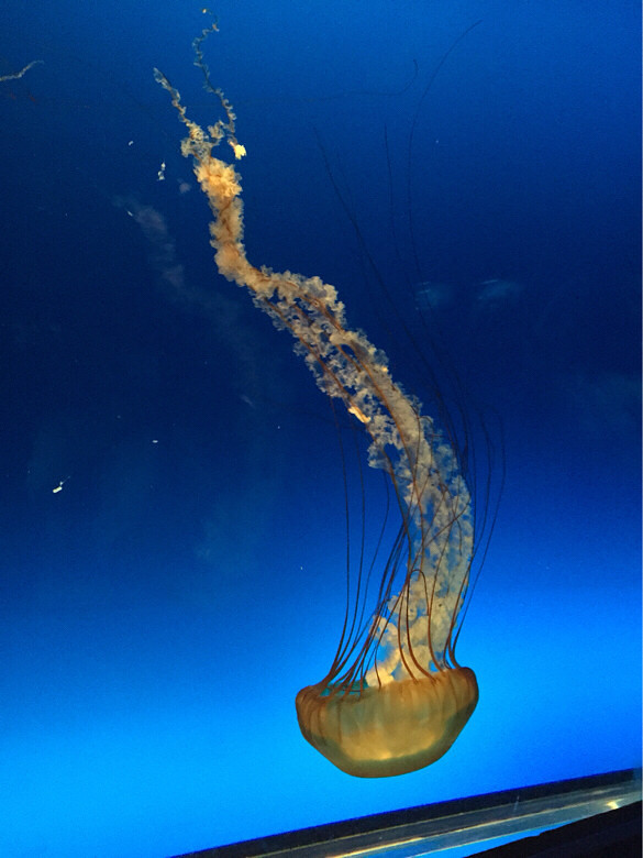 ����һ��