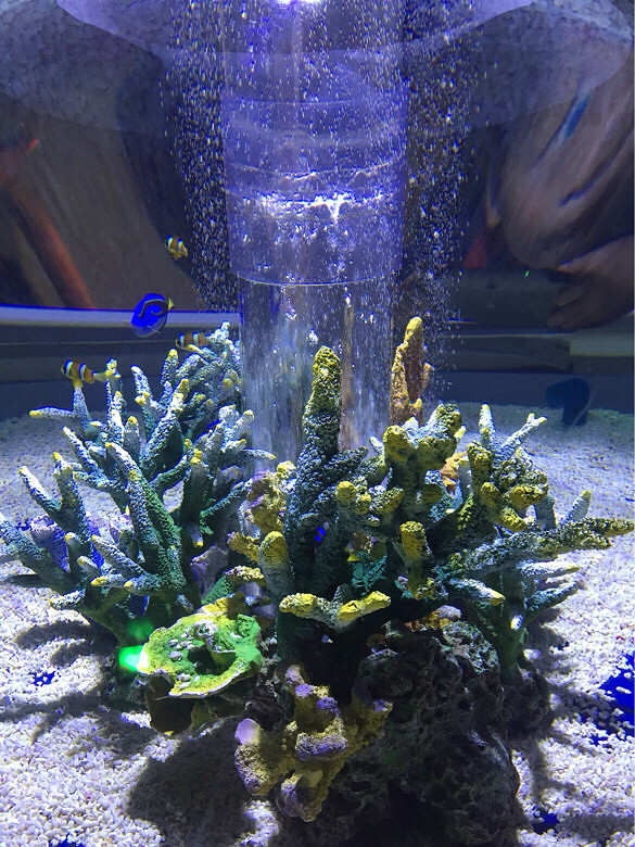 ����һ��