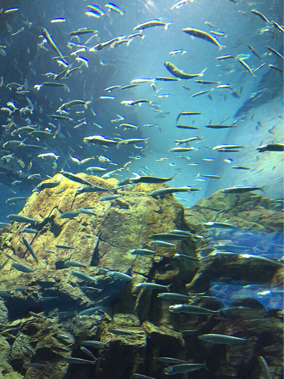 ����һ��