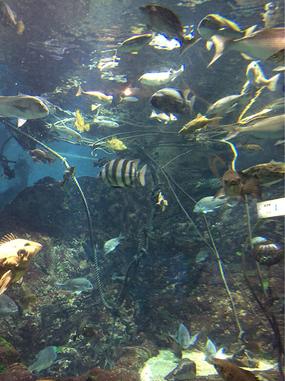 ����һ��