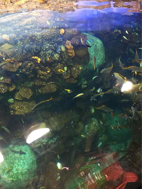 ����һ��