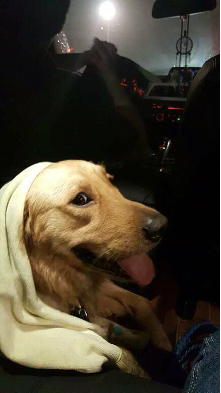 �Ҽҿɰ��Ķ��ź�����