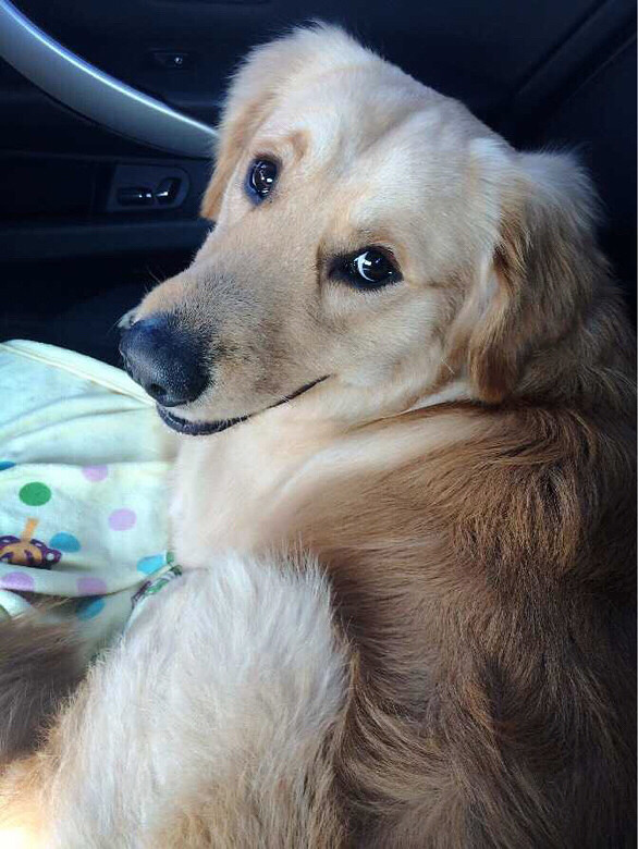 �Ҽҿɰ��Ķ��ź�����