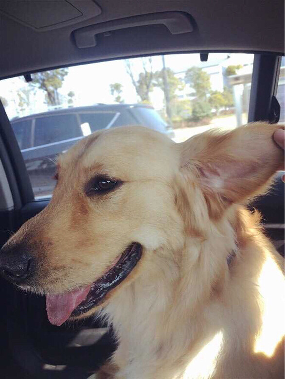 �Ҽҿɰ��Ķ��ź�����