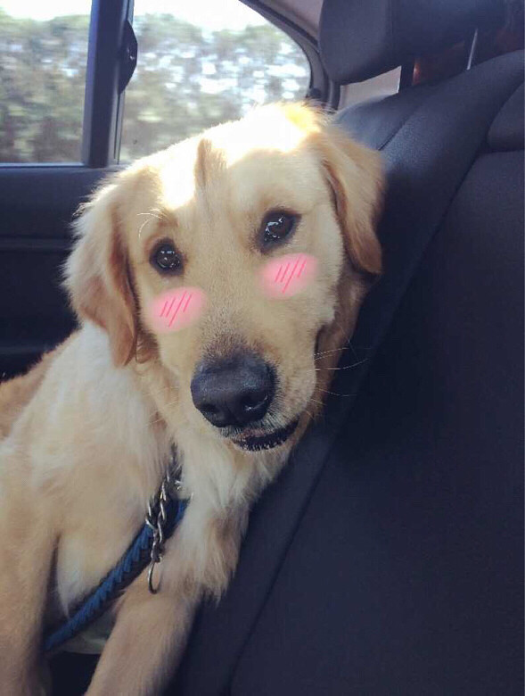 �Ҽҿɰ��Ķ��ź�����