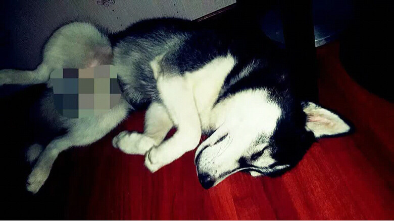 �Ҽҿɰ��Ķ��ź�����