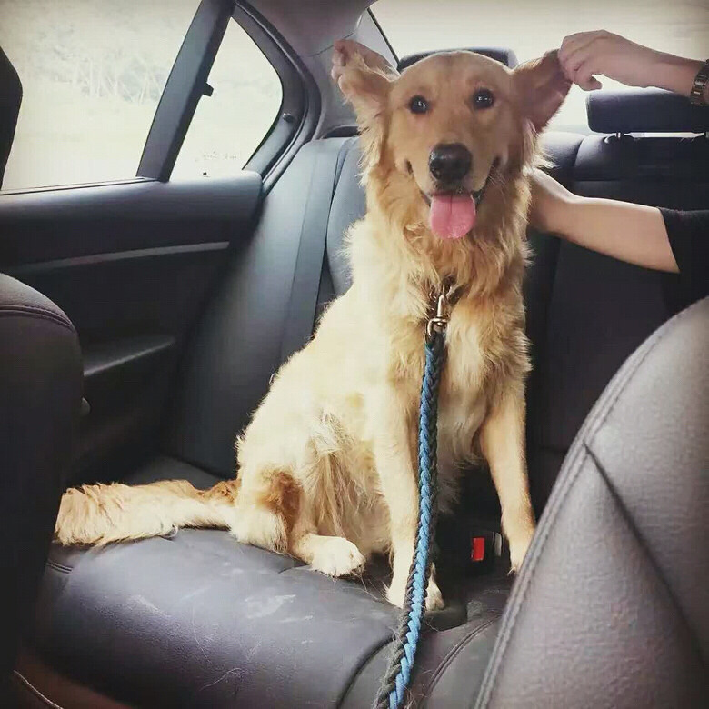 �Ҽҿɰ��Ķ��ź�����