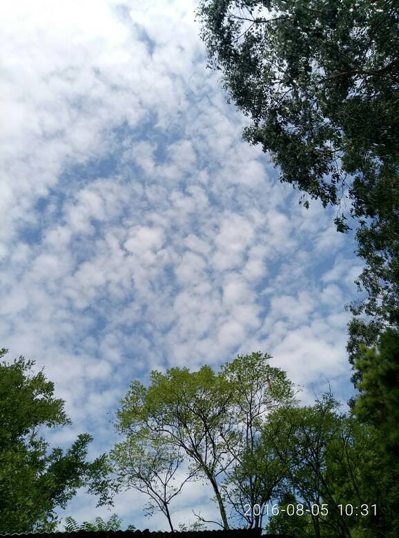 ������ƾ������������������ʡ�