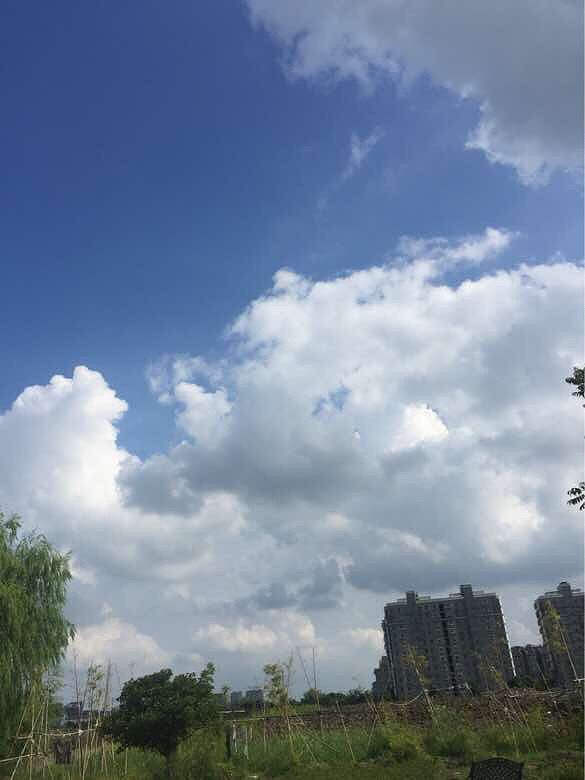 ���������°���Ʈ��������