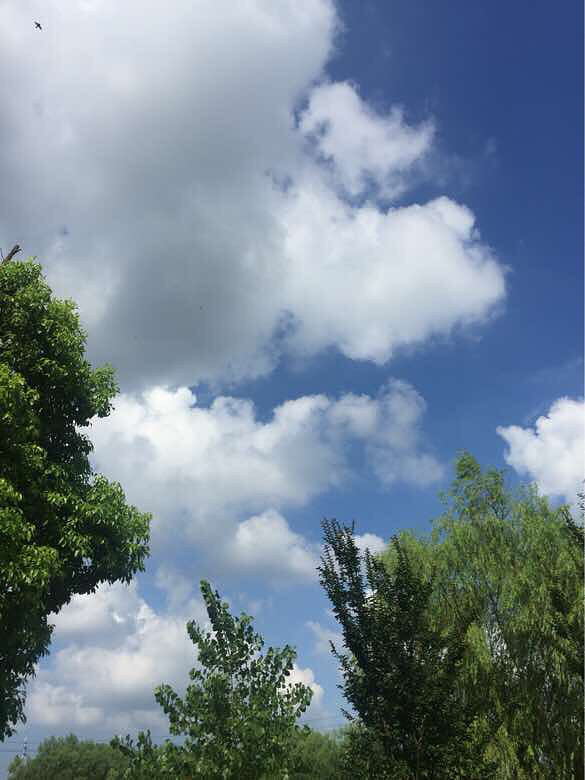 ���������°���Ʈ��������