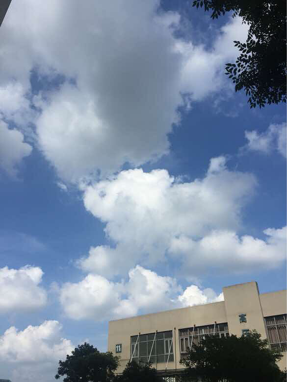 ���������°���Ʈ��������