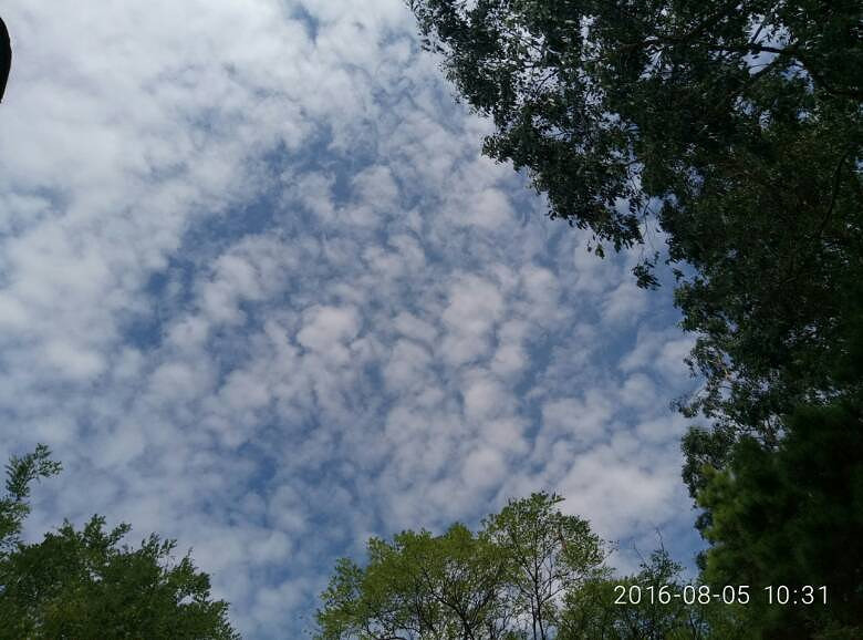 ������ƾ������������������ʡ�