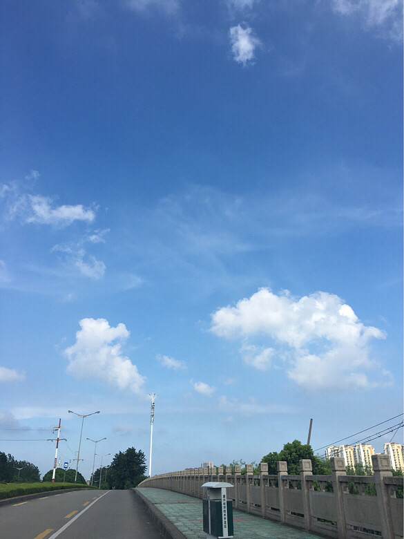 ������������˵����