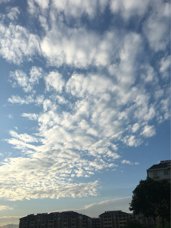 ������������˵����