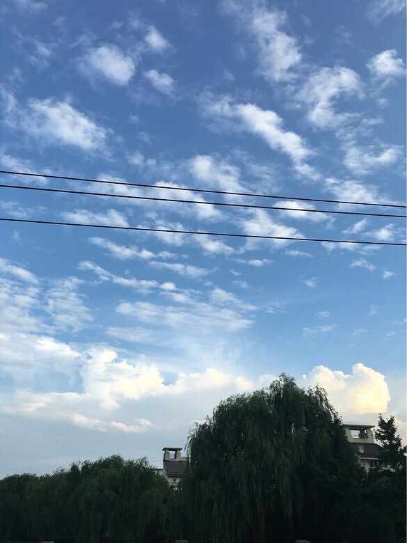 ������������˵����