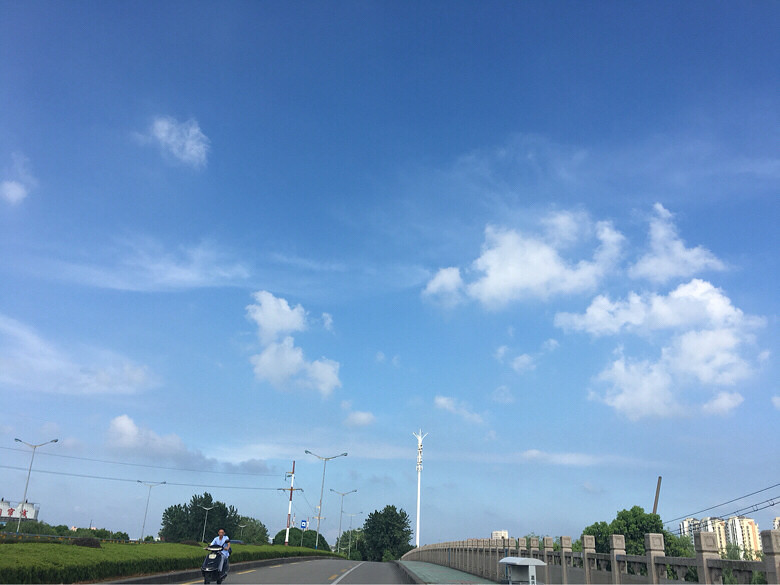 ������������˵����