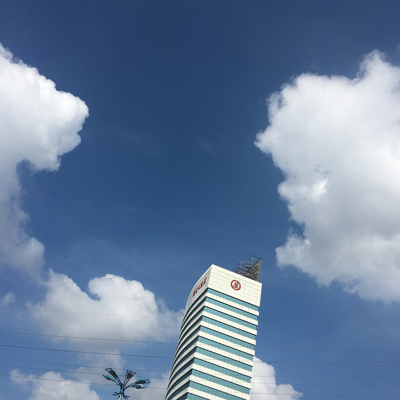 ������������˵����