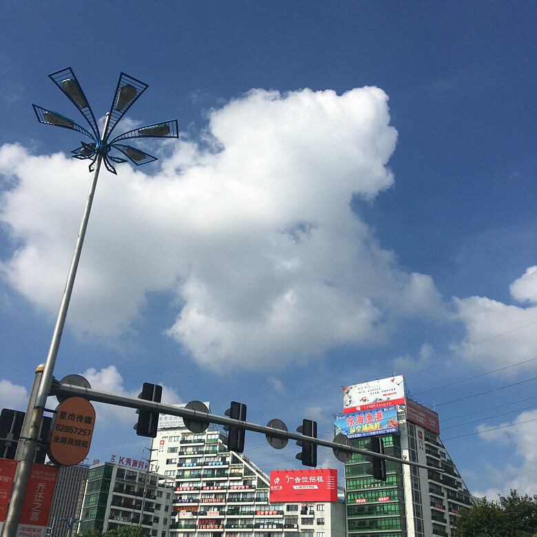 ������������˵����