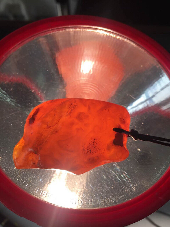 ���е�˭���ҿ���ֵ����һ�ˣ�лл