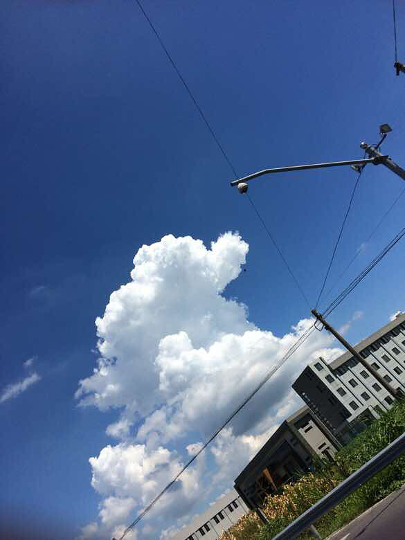 ����޻��ǡ�