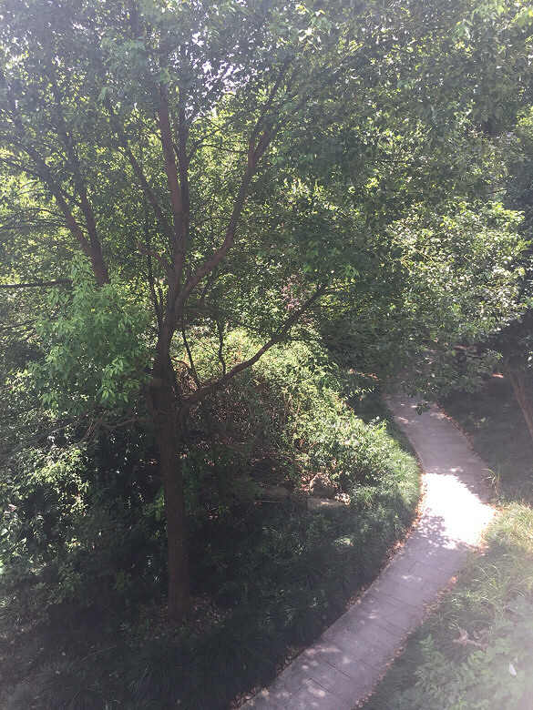 ����Ҳ���