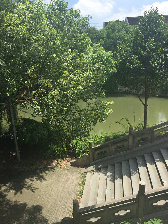 ����Ҳ���