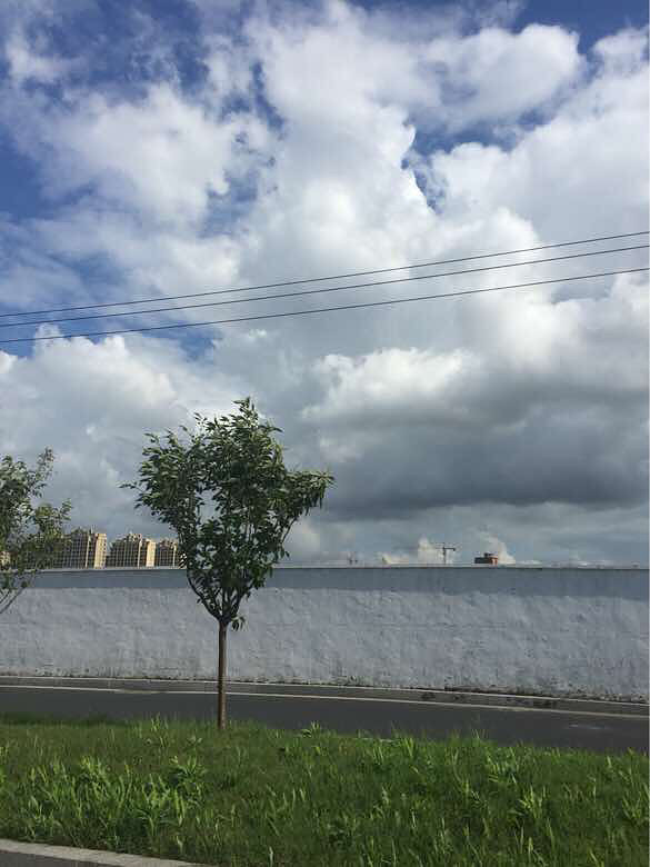 ������ƣ�