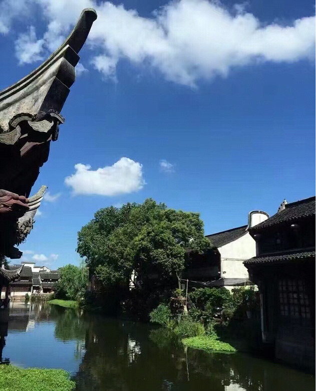 ����Ȧ�ֱ����������ˢ���ˣ�