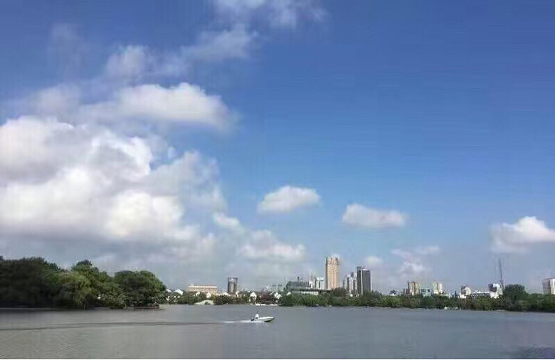 ����Ȧ�ֱ����������ˢ���ˣ�