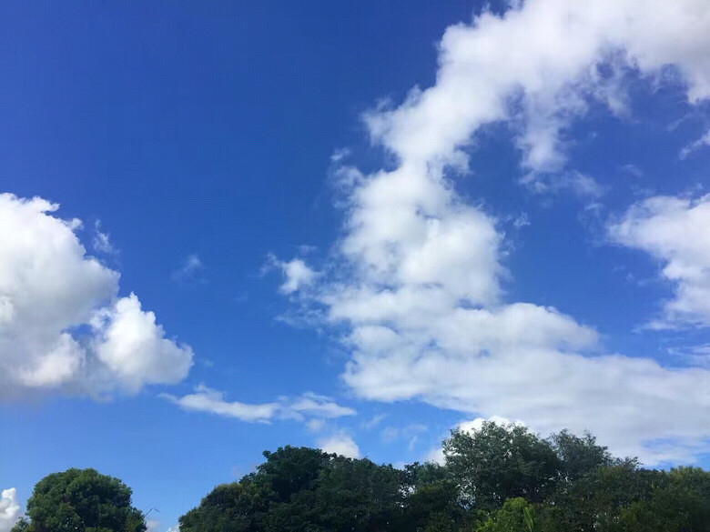 ����Ȧ�ֱ����������ˢ���ˣ�