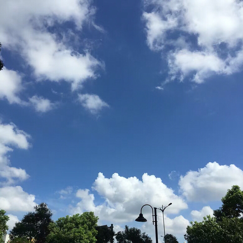 ����Ȧ�ֱ����������ˢ���ˣ�